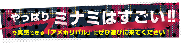 やっぱりミナミはすごい！